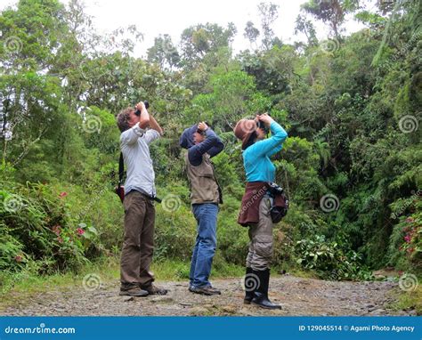 Safely Observing Forest Animals: Tips for Responsible Wildlife Watching